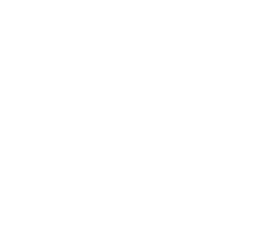 Picby Studio Logo